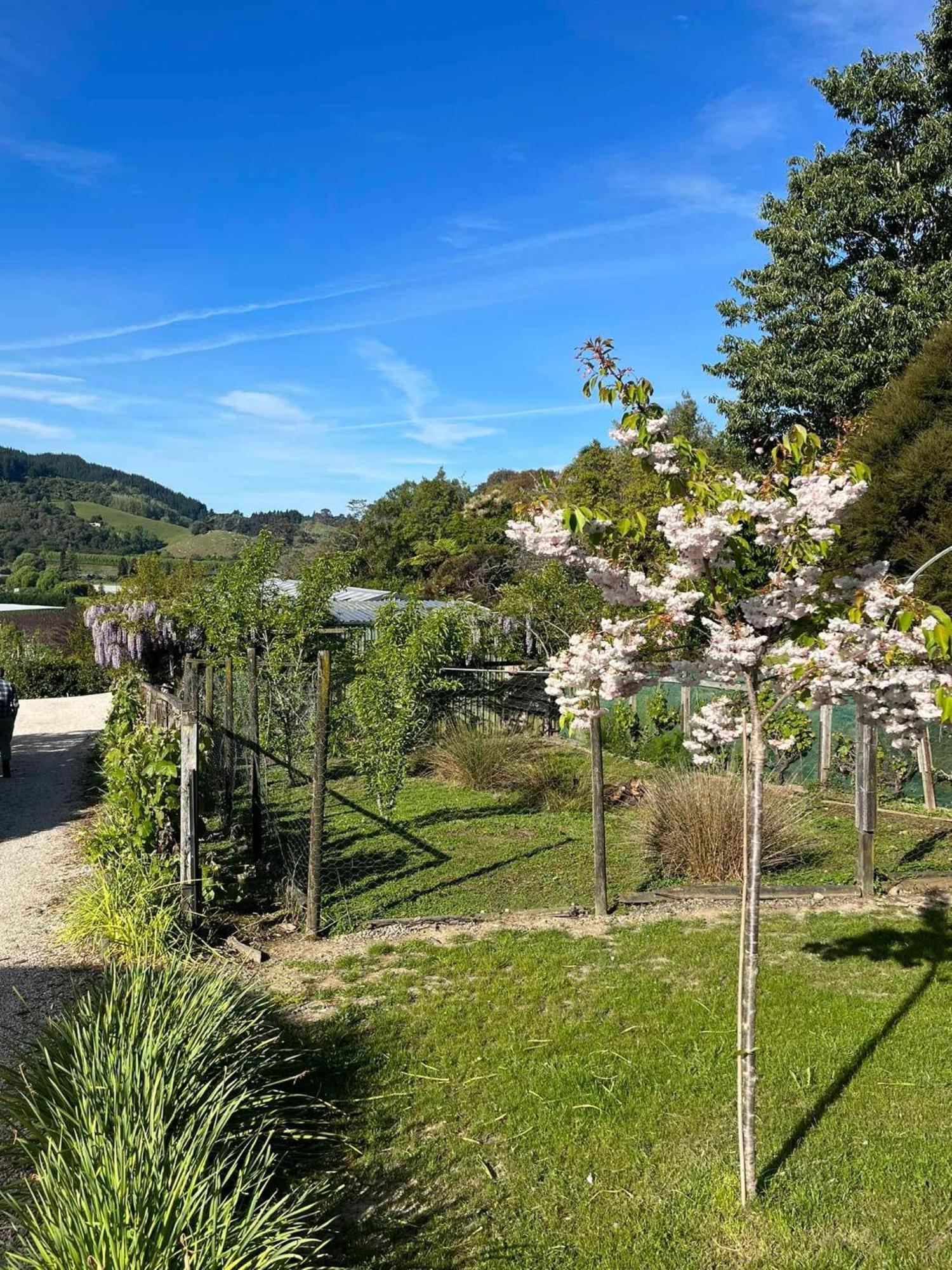Terraced Chalets Motueka Kültér fotó